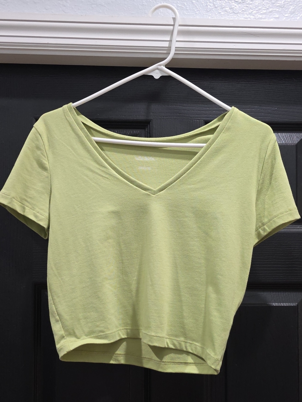 wild fable Light Green V-Neck Crop Top